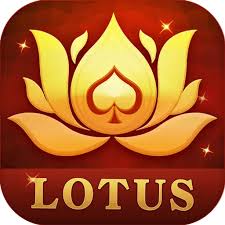 yes 3 patti 500 bonus download